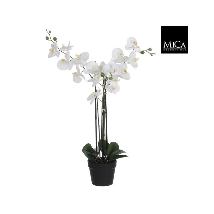 Mica Faux Phalaenopsis In Plastic Pot White