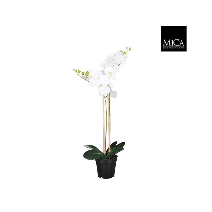 Mica Artificial Potted Phalaenopsis 'Moth Orchid' White 70cm