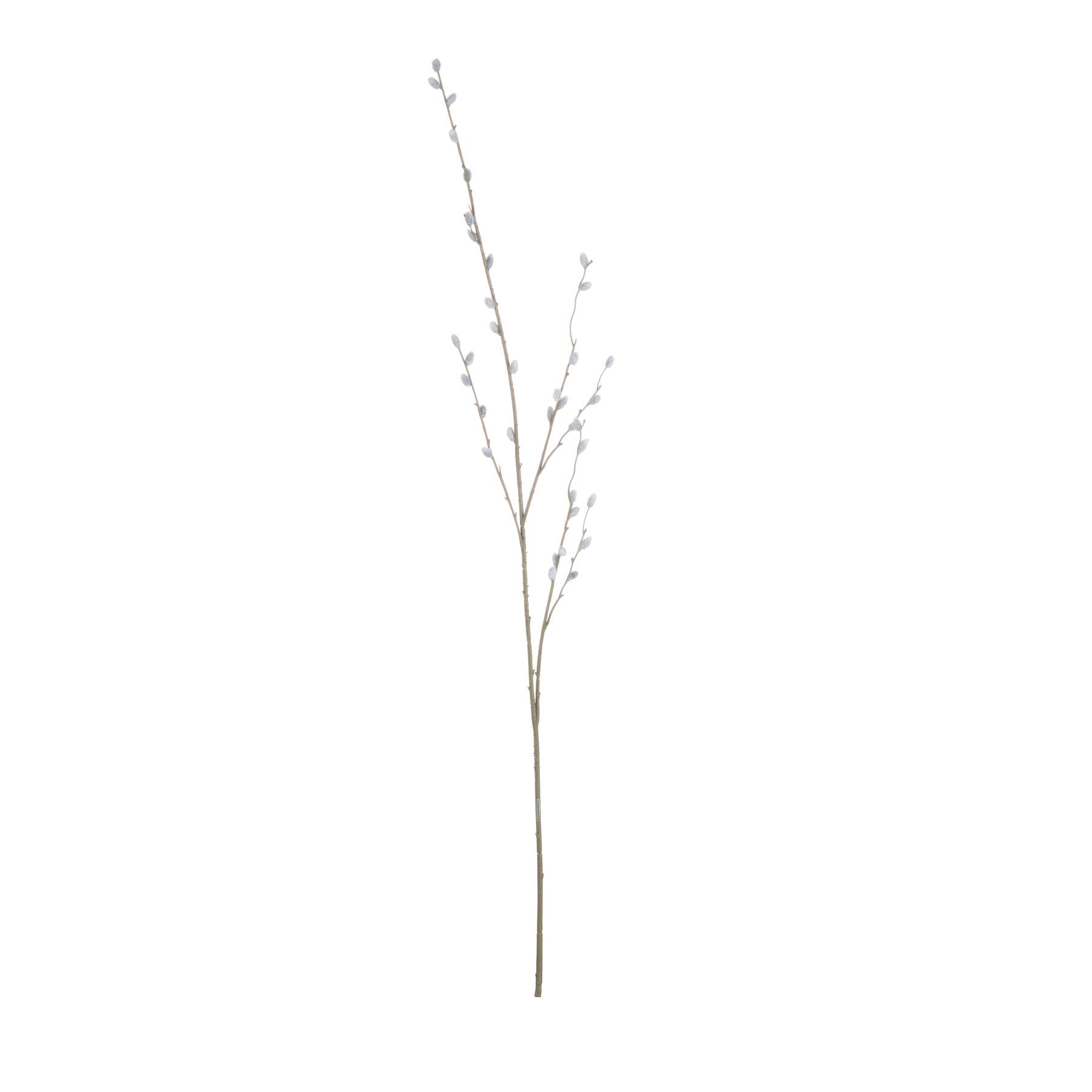 Hill Interiors Pussy Willow Branch