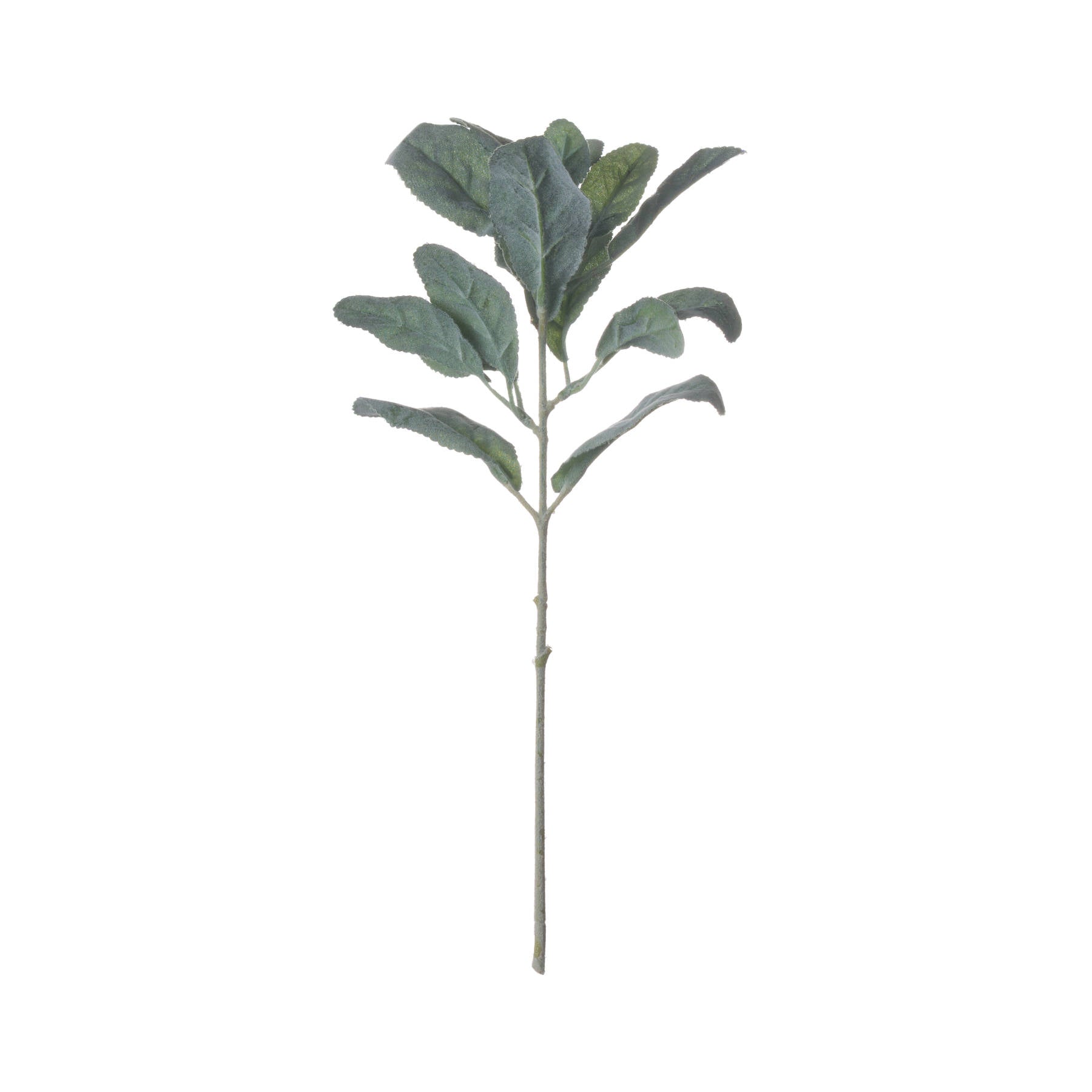 Hill Interiors Lambs Ear Spray
