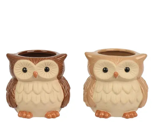 Decoris Stoneware Owl Planter Glazed 10cm Single Assorted