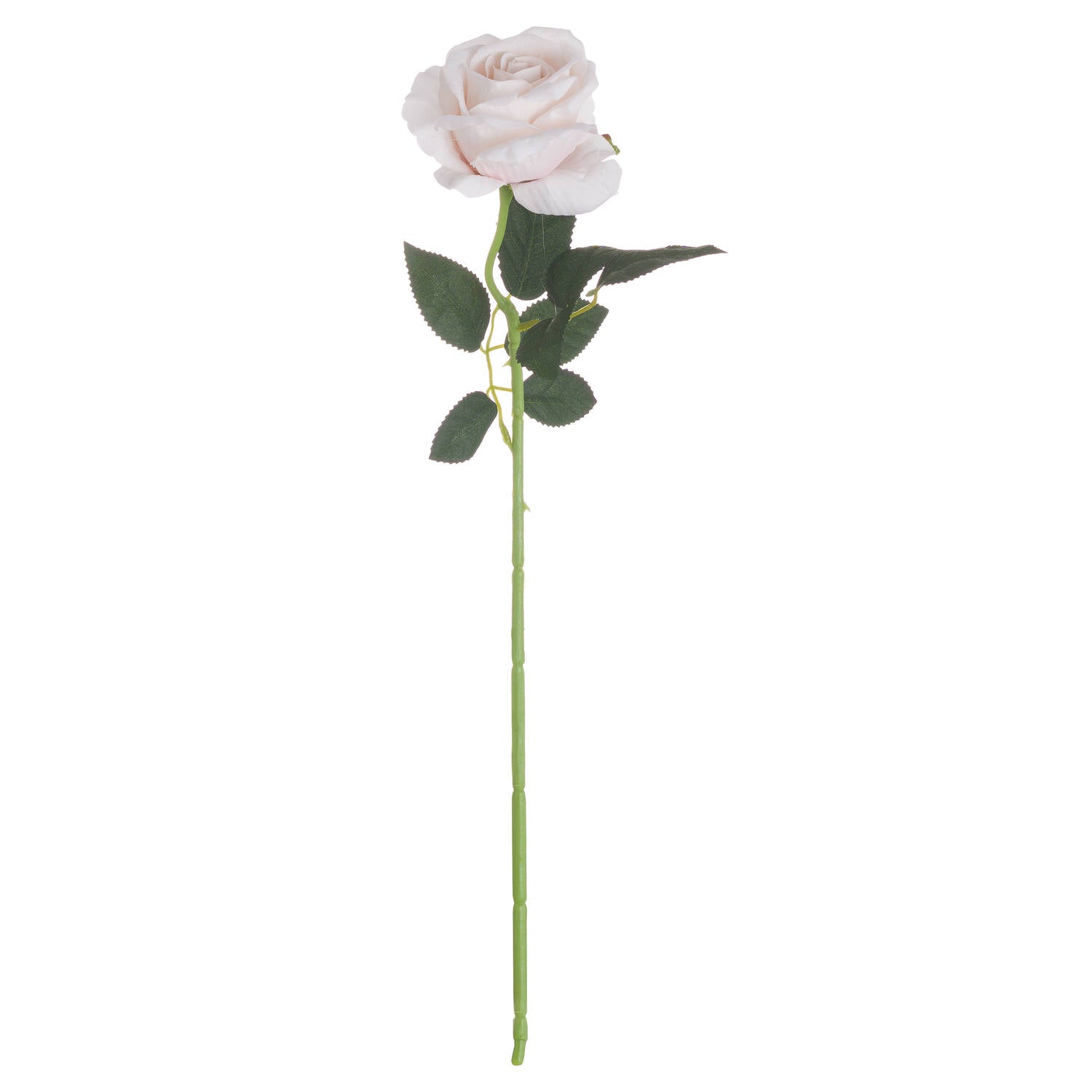 Hill Interiors Pastel Pink Tea Rose