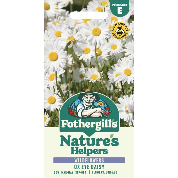Mr Fothergills Natures Helpers Ox Eye Daisy