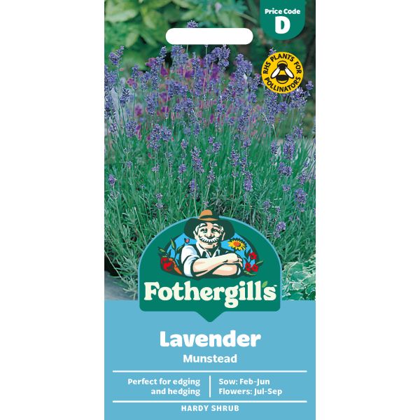 Mr Fothergills Lavender Munstead