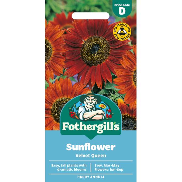 Mr Fothergills Sunflower Velvet Queen