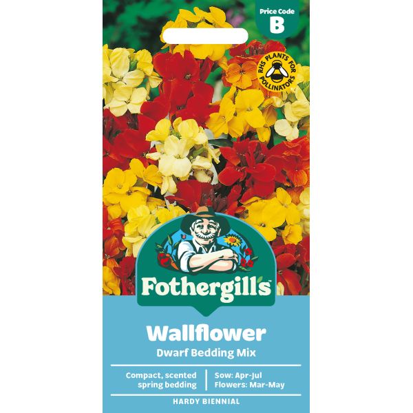 Mr Fothergills Wallflower Dwarf Bedding Mix