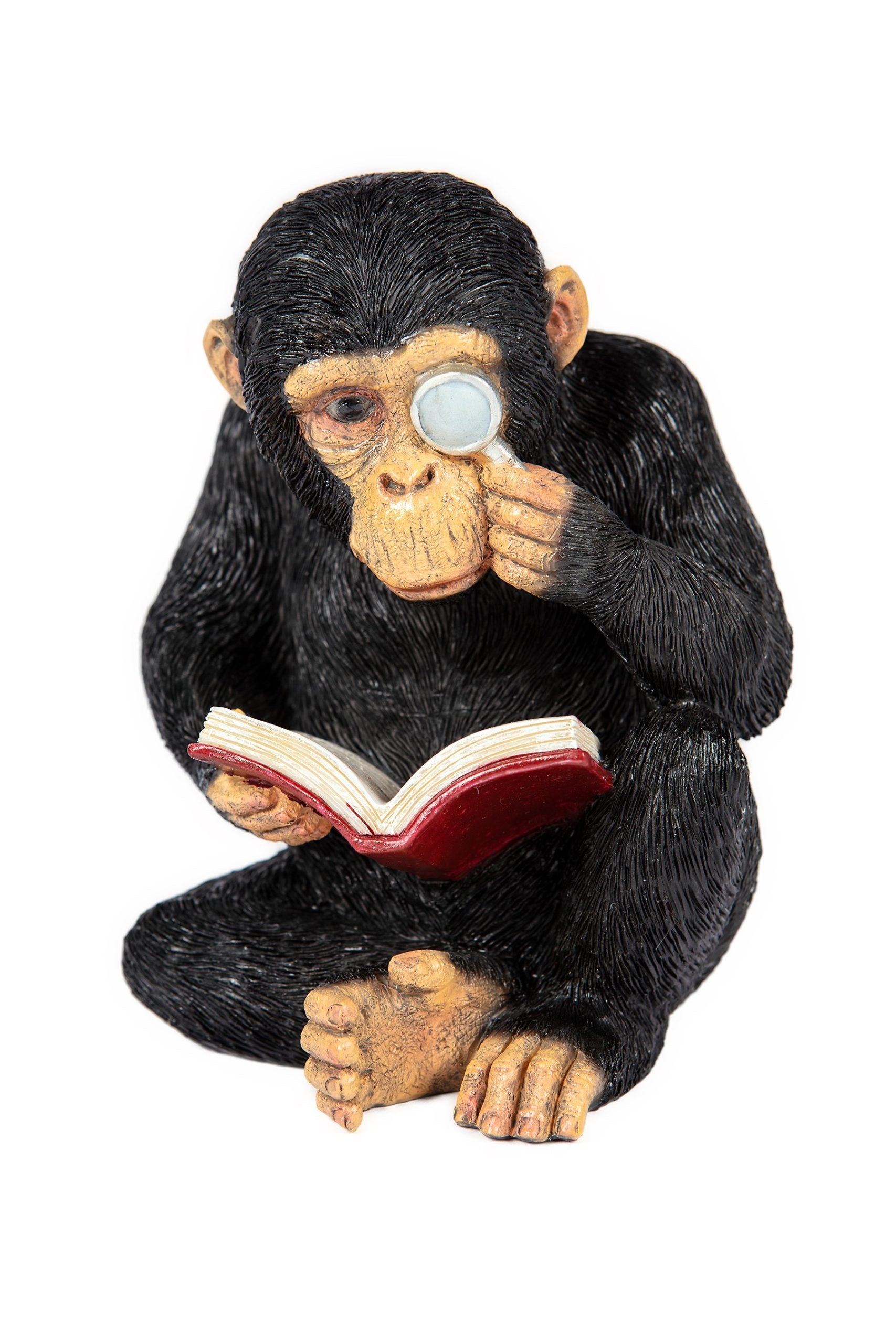 Garden Creations Reading Chimp