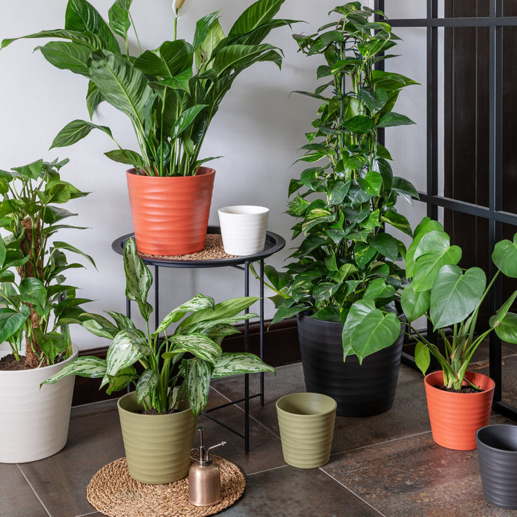 Ivyline Oslo Anthracite Taper Planter