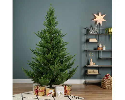 Everlands Norway Spruce Green