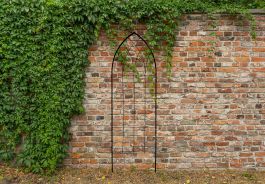 Panacea Gothic Window Trellis Black