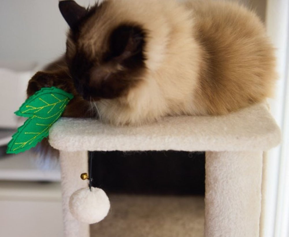Petface Fresh Breath Mint Leaves With Catnip Plush Cat Toys 2 Pack