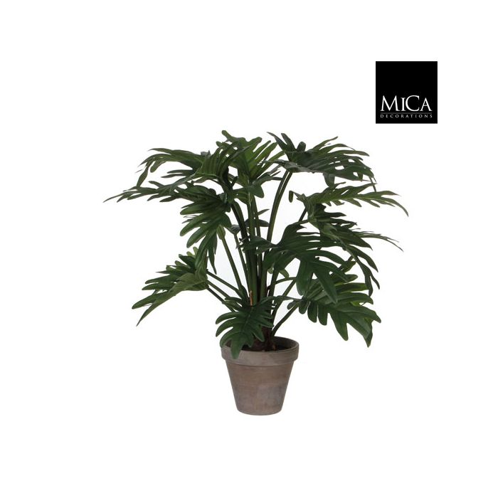 Mica Artificial Potted Philodendron Selloum 50cm