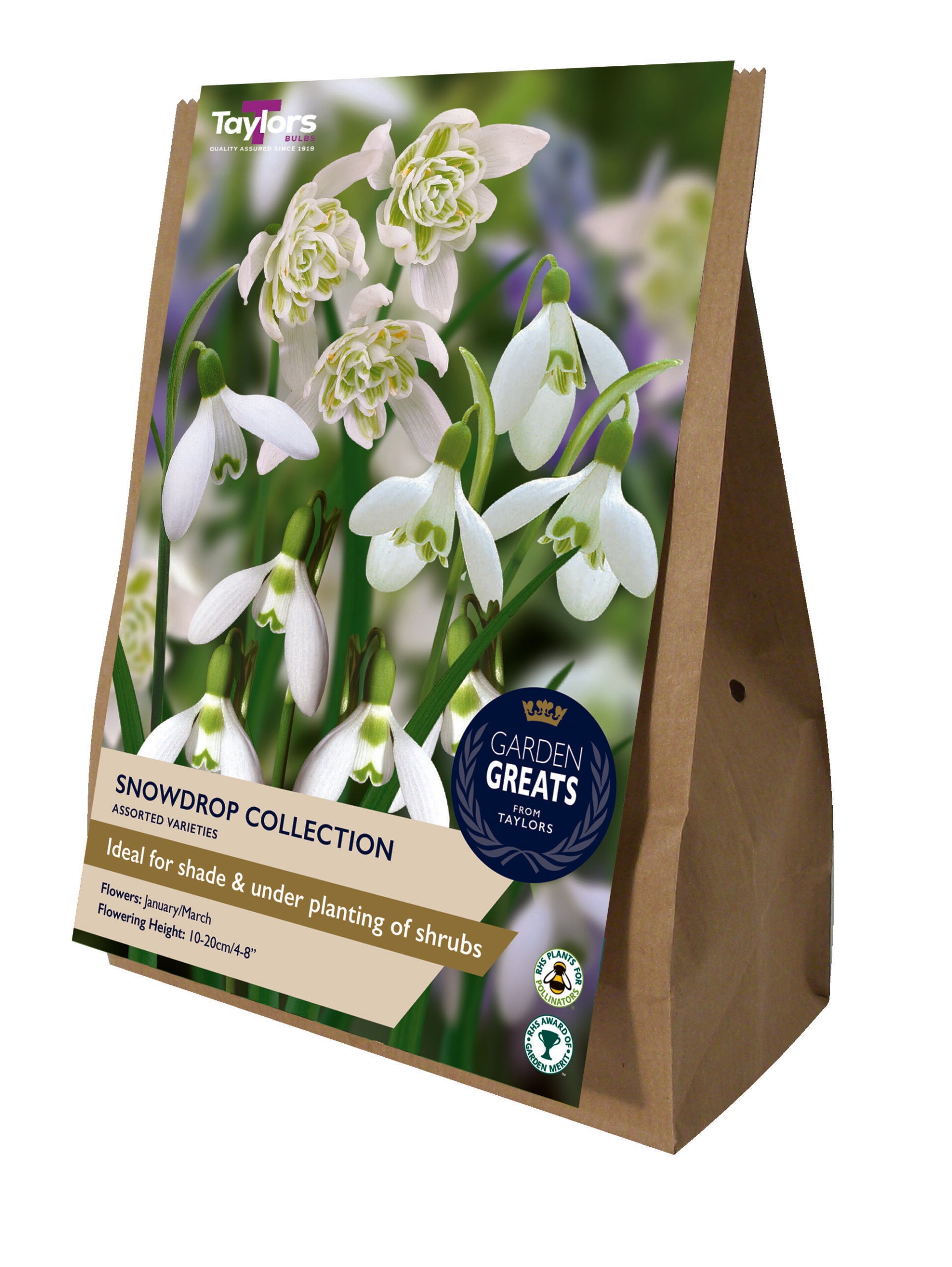Taylor's Bulbs Garden Greats Pack Snowdrop Collection