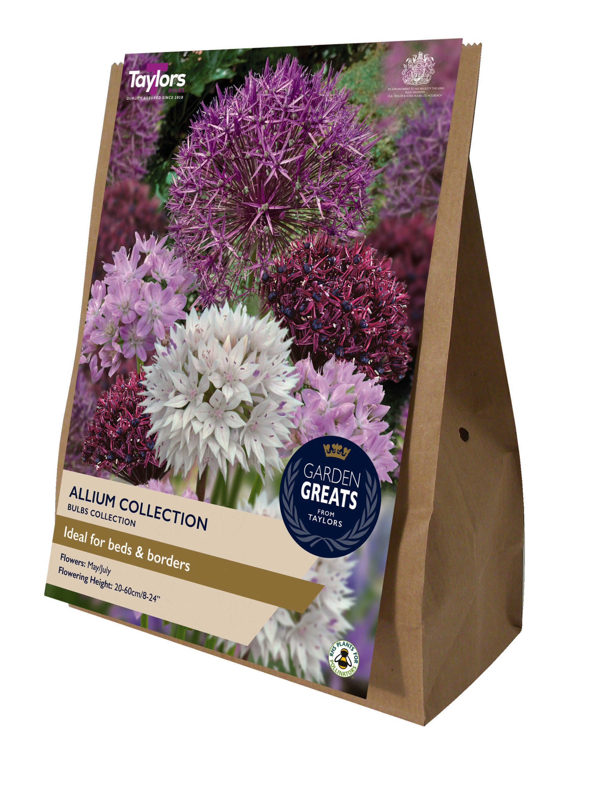 Taylor's Bulbs Garden Greats Pack Allium Collection