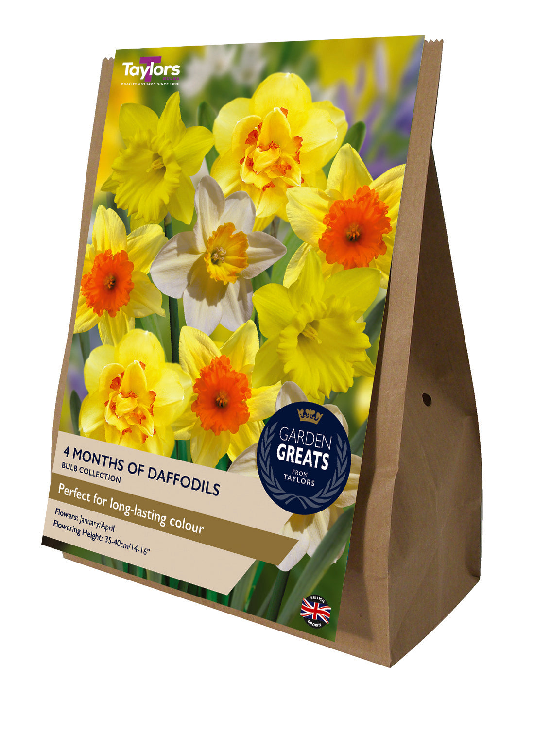 Taylor's Bulbs Garden Greats Pack 4 Months Of Daffodils Collection