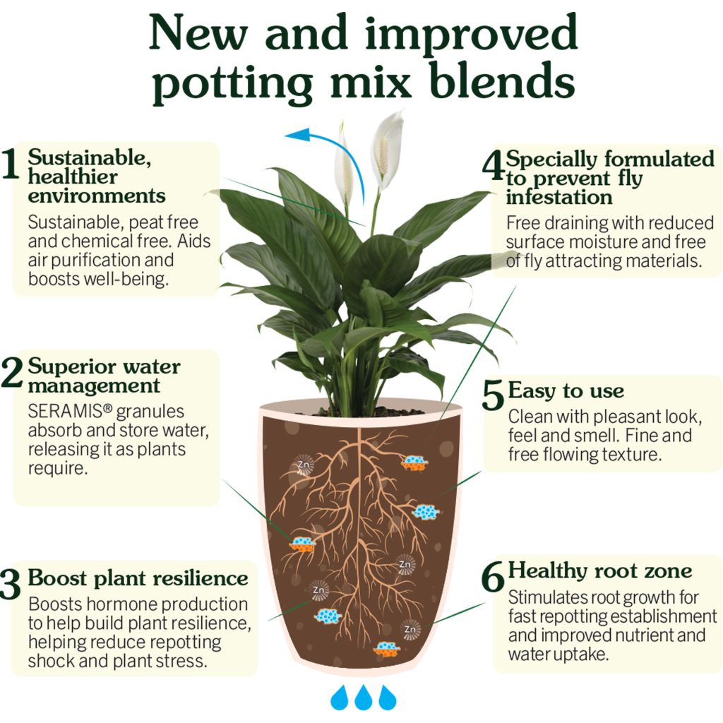 Westland Houseplant Potting Mix 10L