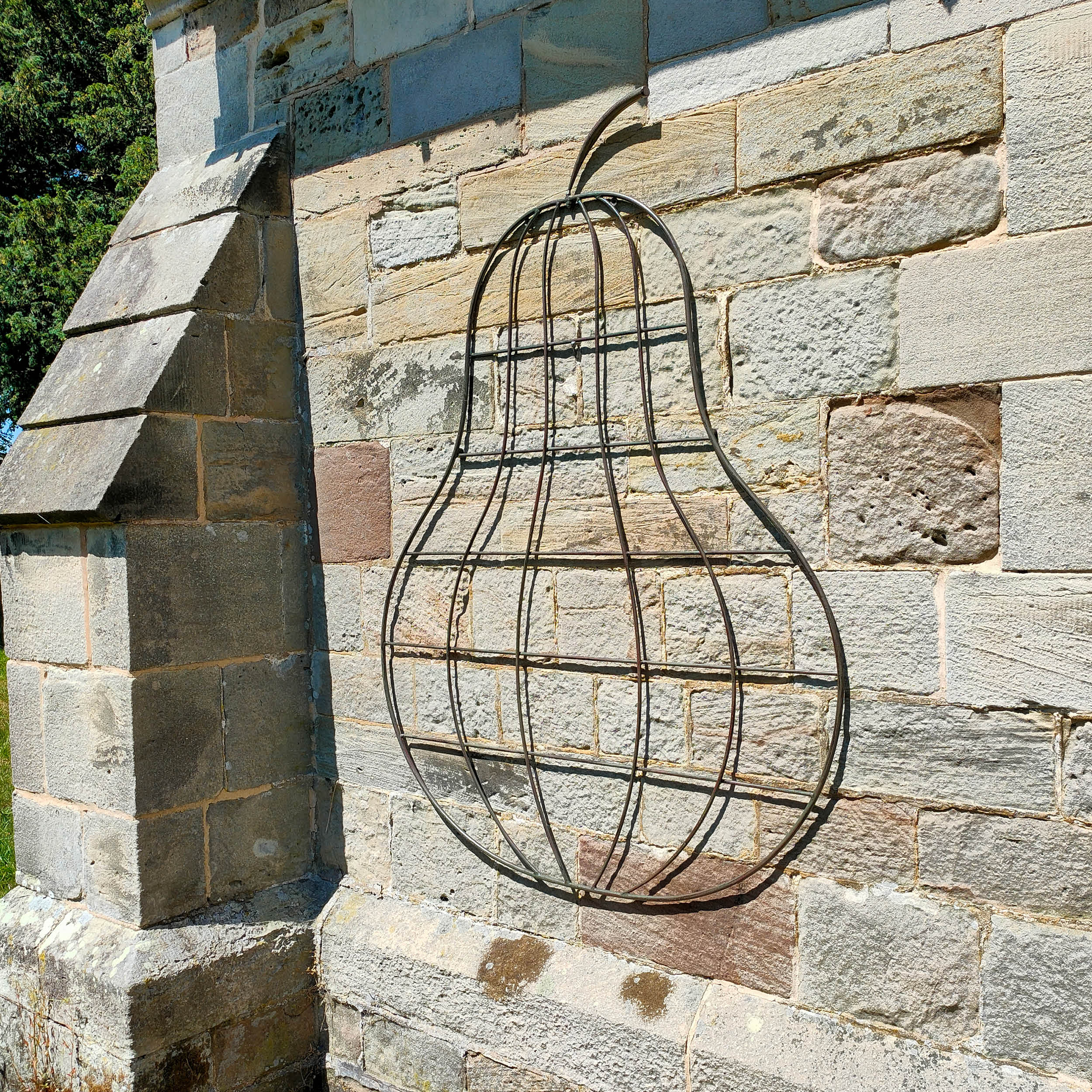 Treadstone Orchard Pear Trellis