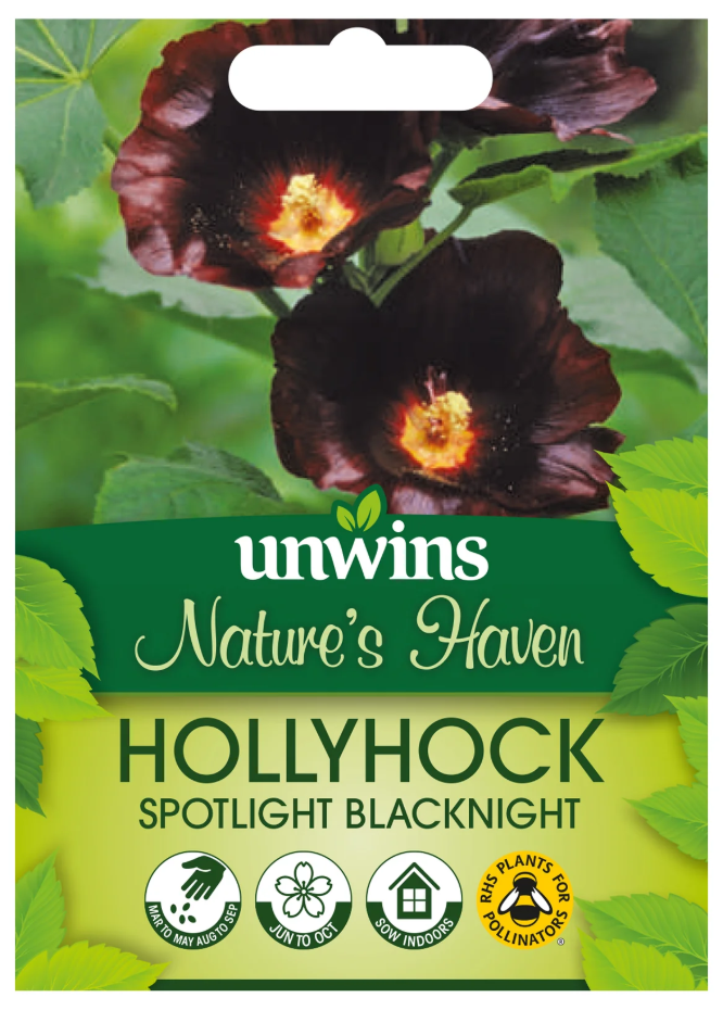 Nature's Haven Hollyhock Spotlight Blacknight Seeds