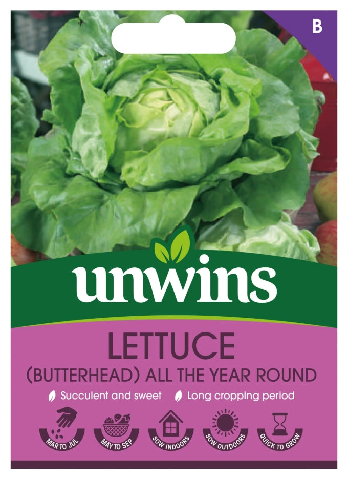 Unwins Butterhead Lettuce All the Year Round Seeds