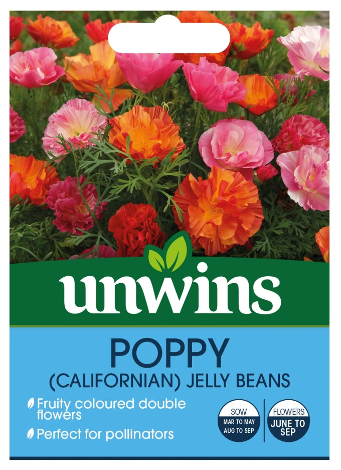 Unwins Californian Poppy XL Jelly Beans Seeds
