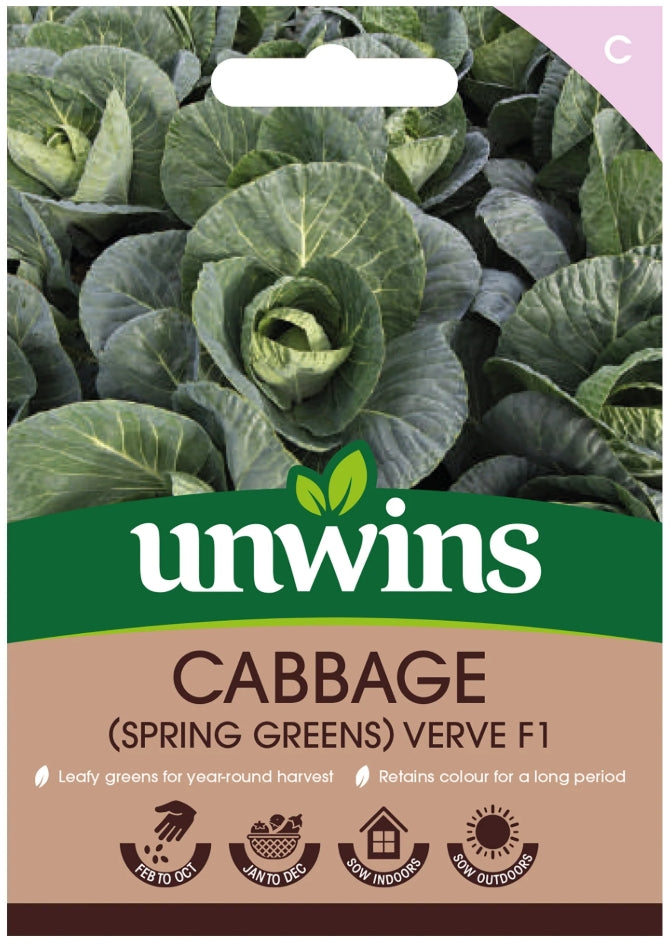 Unwins Spring Greens Cabbage Verve F1 Seeds