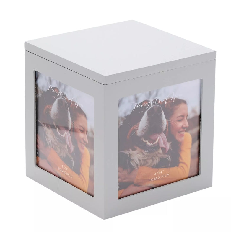 Celebrations Thoughts Of You Pet Urn Box