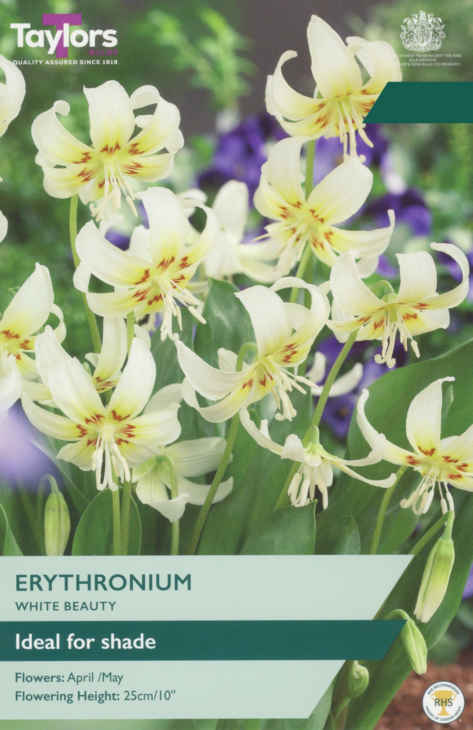 Taylor's Bulbs Choice Pack Erythronium White Beauty