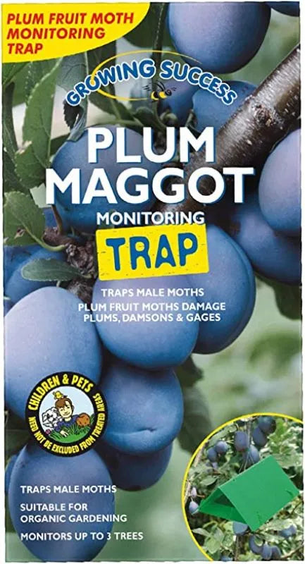 Westland GS Plum Maggot Monitoring Trap